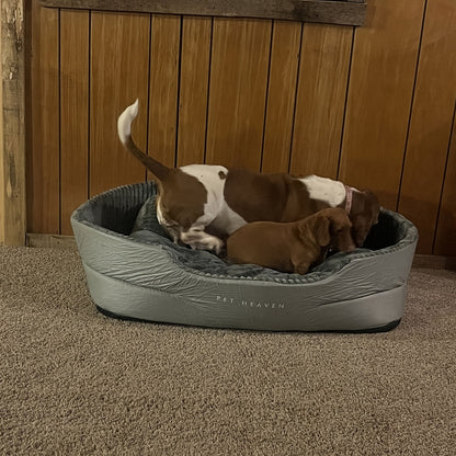 Ultra-Soft Plush Dog Bed - Bite-Resistant, Dirt-Proof, Machine Washable Cozy Haven for All Season Pet Comfort