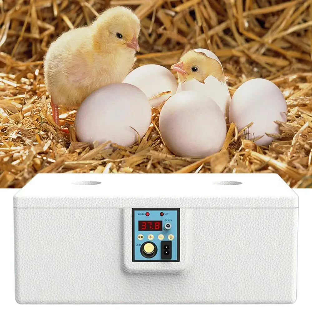 Automatic Egg Incubator - 10-25 Egg Turning Machine with Temperature Control for Duck, Poultry or Farming Lab Hatchery Use