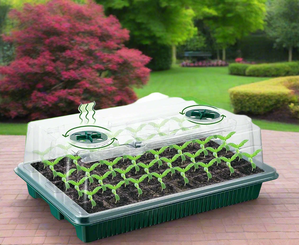 Seed Starter Trays with LED Grow Lights – 2 Trays, 40 Cells Each (80 Cells Total), High Dome Germination Kit for Winter Seedlings & Indoor Growing