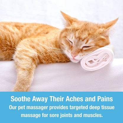 Pet Massager