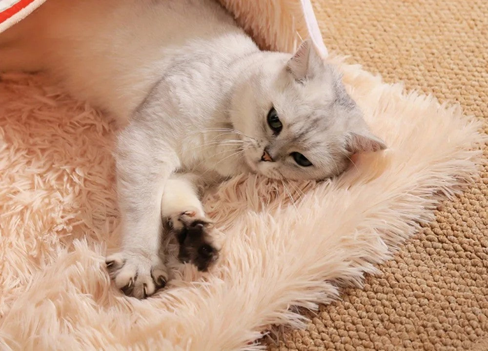 Cozy Cat Nest Bed Box Style – Soft Zippered Plush House for Large Cats & Small Dogs