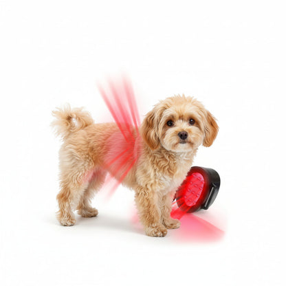 Red Light Therapy Device for Dogs – 660nm & 850nm Infrared Pet Health Lamp for Joint & Hip Pain Relief, USB Powered