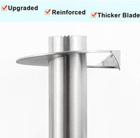 Pineapple Corer