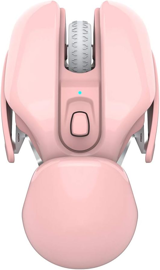 Ergonomic Wireless RGB Mouse – 4-Key Optical Mute Mouse with 1600 DPI for Work, Gaming, or Stylish Unisex Gift