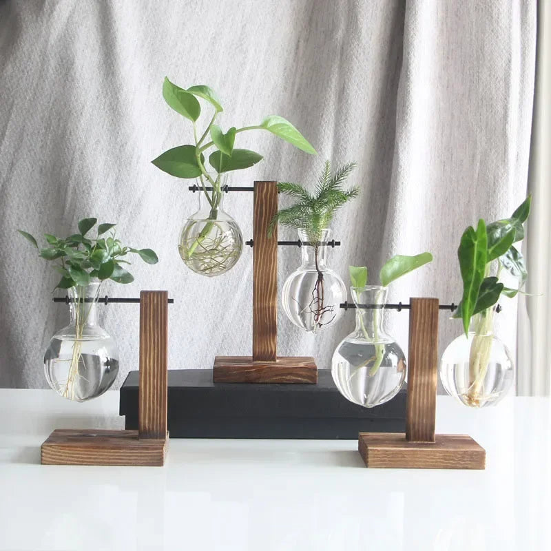 Light Bulb Vase with Wood Stand - Hydroponic Propagation Glass Station for Desktop Home or Office Botanical Decor