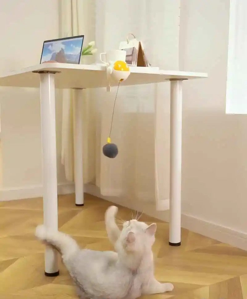 Interactive Retractable Cat Toy – Automatic Teasing Stick for Endless Playtime