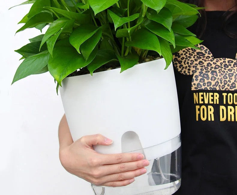 Self-Watering Transparent Planter – Dual-Layer Flower Pot with Cotton Rope Irrigation