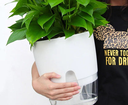 Self-Watering Transparent Planter – Dual-Layer Flower Pot with Cotton Rope Irrigation