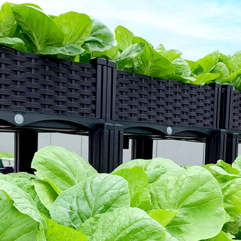 Plastic Raised Planting Container with Drainage – Elevated Propagation Box for Growing Vegetables, Fruits, Flowers & Fresh Culinary Herbs
