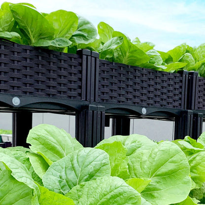 Plastic Raised Planting Container with Drainage – Elevated Propagation Box for Growing Vegetables, Fruits, Flowers & Fresh Culinary Herbs