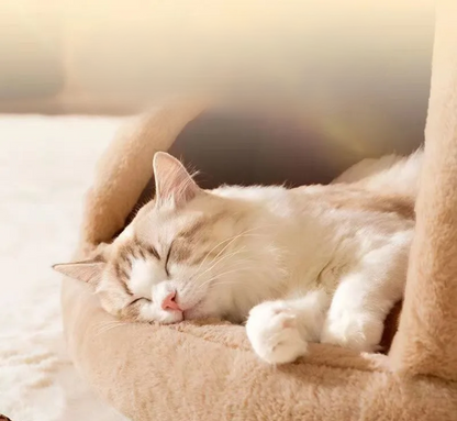 Triangle Pet Tent Bed – Four-Season Triangle Nest for Dogs & Cats with Plush Mattress