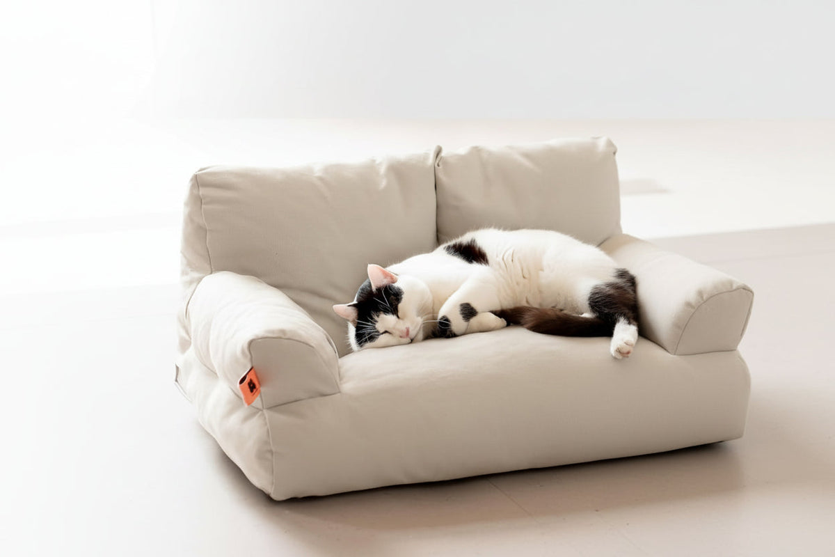 Cozy Pet Sofa Bed for Cats & Small Dogs- Soft Washable Cushion with Non-Slip Base for Up to 25lbs of Furry Comfort