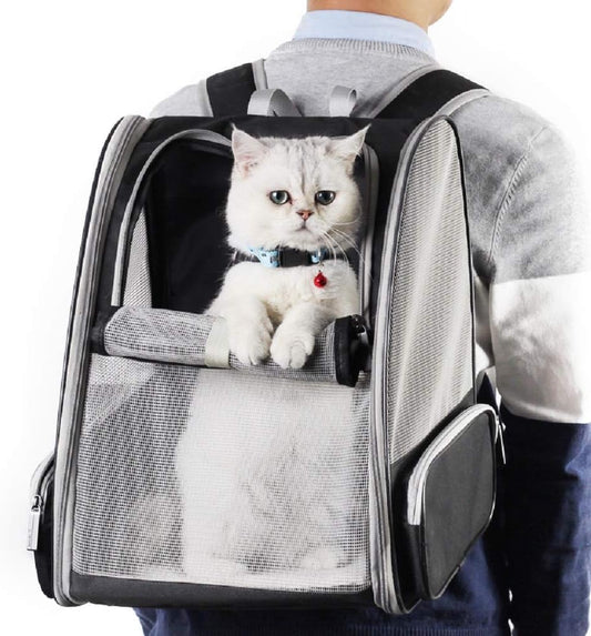 Backpack Carrier Cat