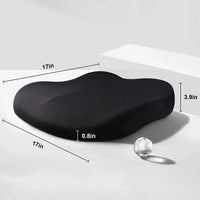 Adult Car Seat Booster
