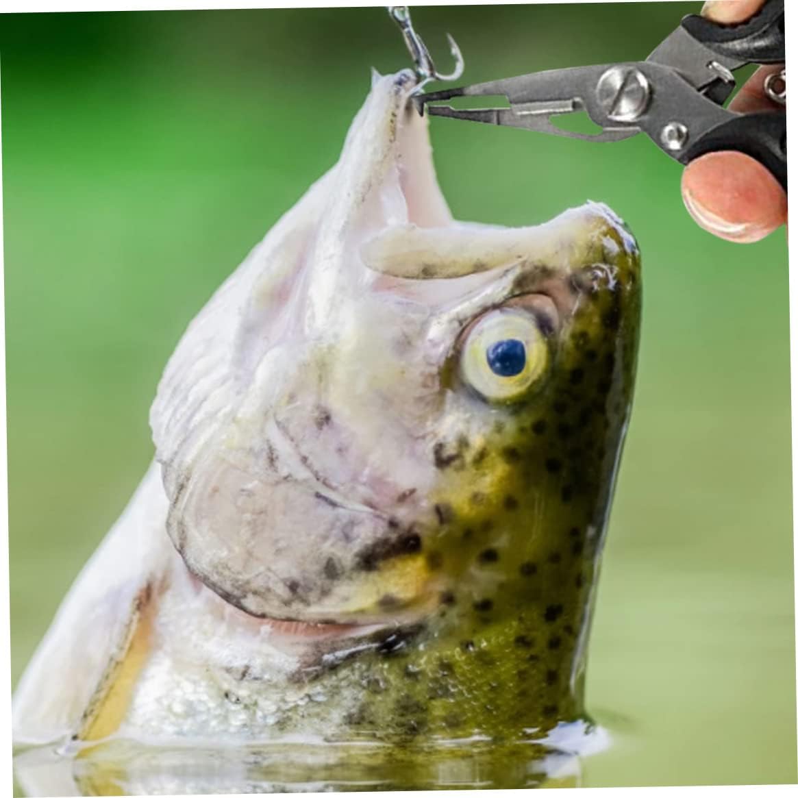 Stainless Steel Fishing Scissors – Multifunctional Hook Remover, Line Tying Clamp, and Durable Fishing Pliers for Cutting Lines and Essential Angling Accessories