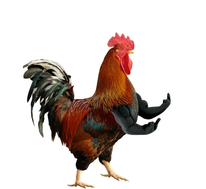 Funny Fighting Chicken Arms Toy – Artificial Muscle Arms Costume Accessory for Pigeon Hen Novelty Farmyard Entertainment Prop.