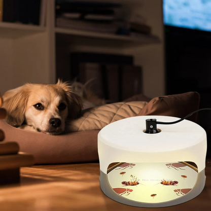 Indoor Bed Bug Trap and Catcher with Sticky Pads