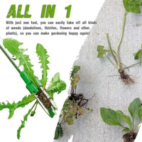 Long Handle Standing Weed Puller