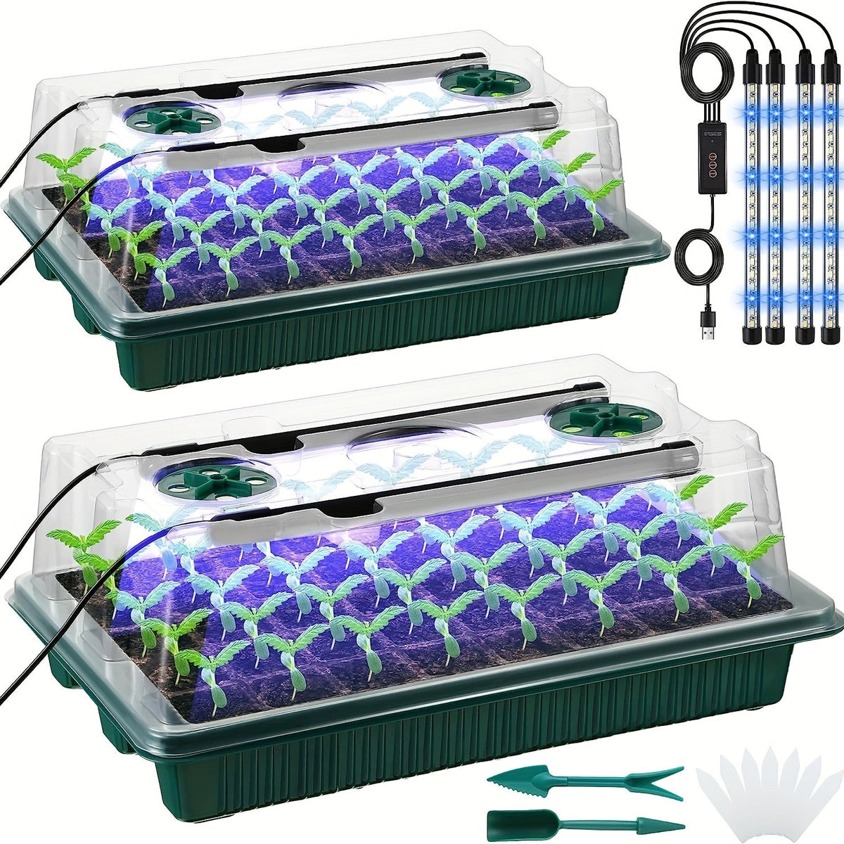 Seed Starter Trays with LED Grow Lights – 2 Trays, 40 Cells Each (80 Cells Total), High Dome Germination Kit for Winter Seedlings & Indoor Growing