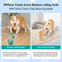 Interactive Dog Ball Toy