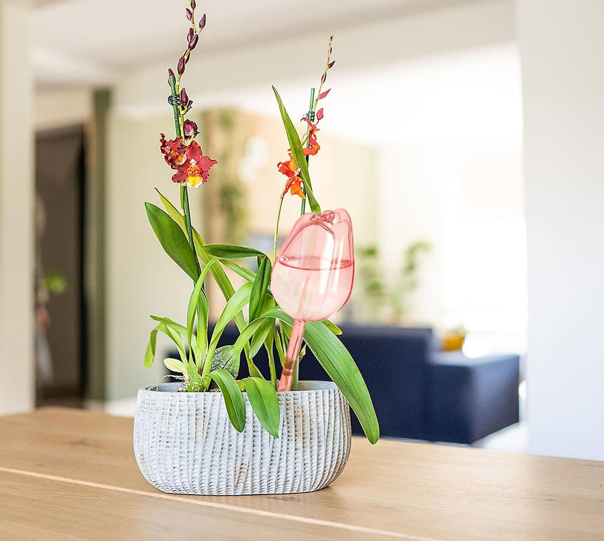 Self-Watering Tulip Plant Balloons – 2/4 Pack Indoor Outdoor Drip Irrigation Tools for Longer Watering with Narrow Spout Design
