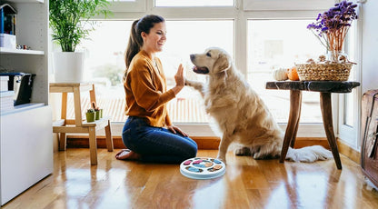Interactive Dog Puzzle Feeder Toy - IQ Training Treat Dispenser for Mental Stimulation, Slow Eating & Enrichment Fun