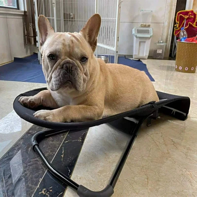 Foldable Pet Rocking Chair with Spring – Cozy Sunbathing Sofa Chair for Cats and Dogs, Lightweight, Easy Assembly, and Perfect Relaxation Spot