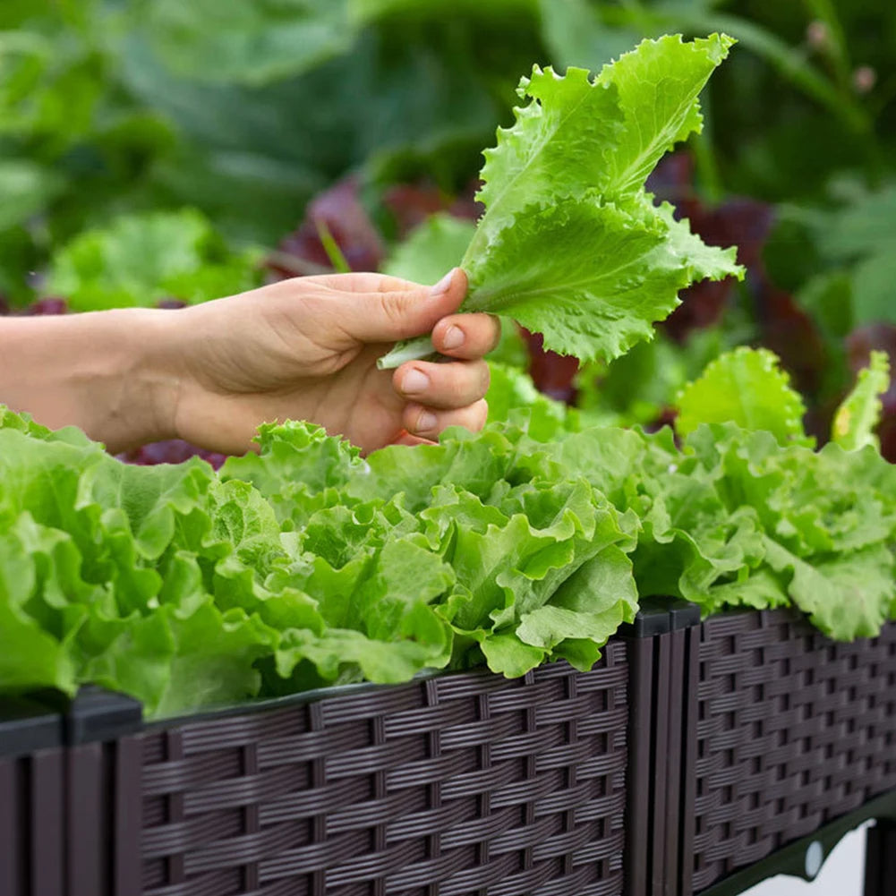 Plastic Raised Planting Container with Drainage – Elevated Propagation Box for Growing Vegetables, Fruits, Flowers & Fresh Culinary Herbs