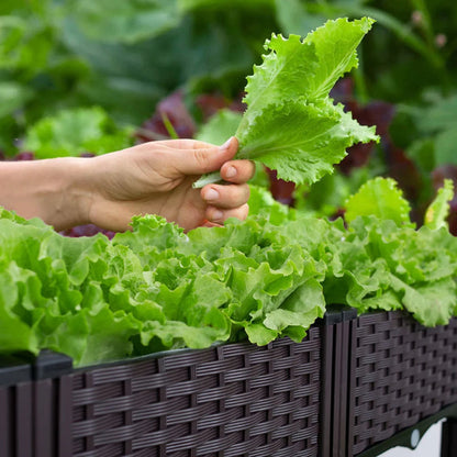 Plastic Raised Planting Container with Drainage – Elevated Propagation Box for Growing Vegetables, Fruits, Flowers & Fresh Culinary Herbs