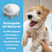 Pet Massager