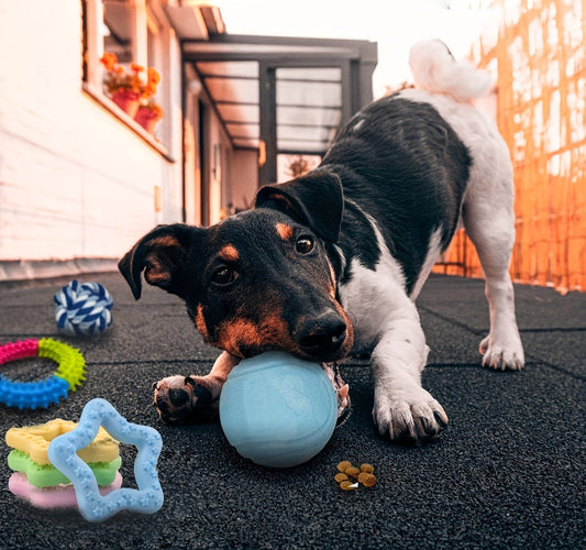 Assorted Dog Chew Toy Set – Knots, Ropes, Balls, and Spiky Rings, 5/10/15 Pieces, Perfect Teething Gift for Small Dogs and Interactive Play