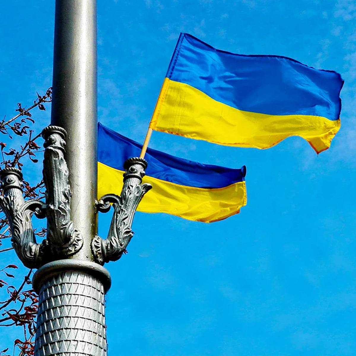 Ukraine Flag