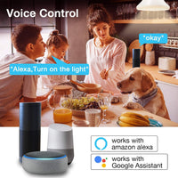 WIFI Led Smart Light Bulbs