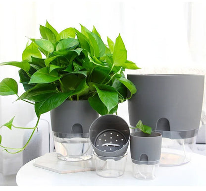 Self-Watering Transparent Planter – Dual-Layer Flower Pot with Cotton Rope Irrigation