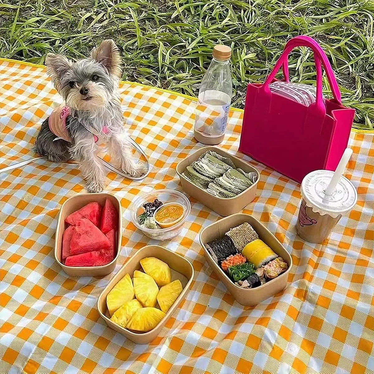 Waterproof Foldable Picnic Blanket – Comfortable Outdoor Mat for Picnics, Camping, and Family Fun with Easy Storage and Cleanable Surface