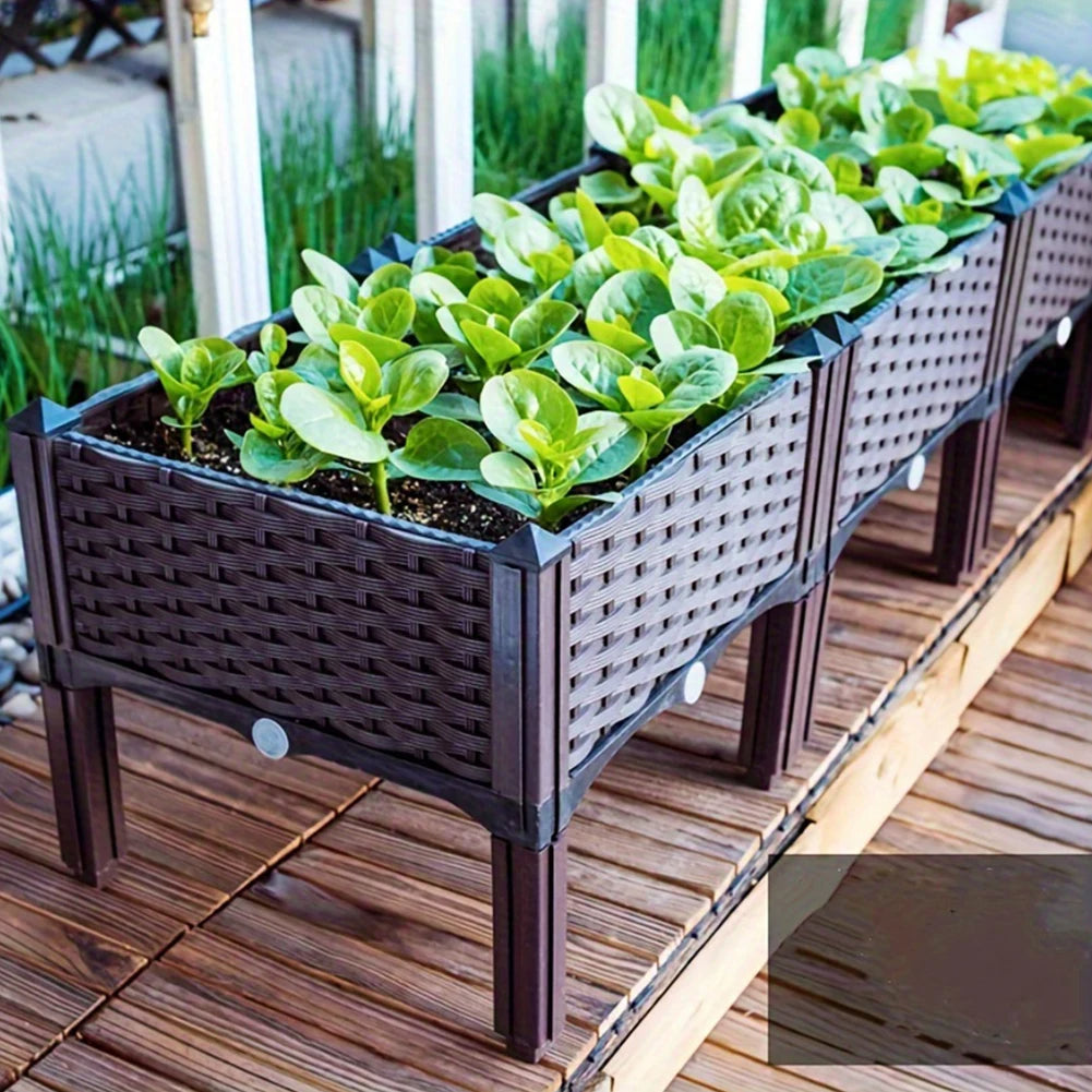 Plastic Raised Planting Container with Drainage – Elevated Propagation Box for Growing Vegetables, Fruits, Flowers & Fresh Culinary Herbs