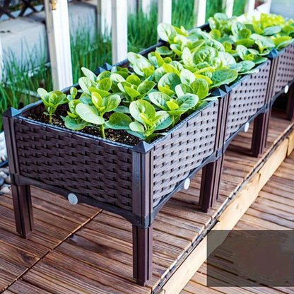 Plastic Raised Planting Container with Drainage – Elevated Propagation Box for Growing Vegetables, Fruits, Flowers & Fresh Culinary Herbs