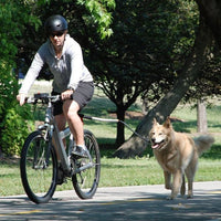 Dog Bike Harness