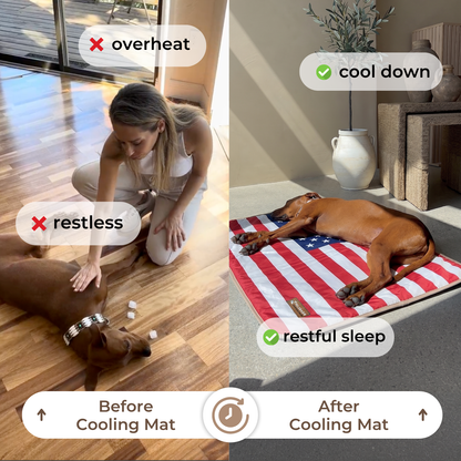Cooling Mat Stars & Stripes Edition