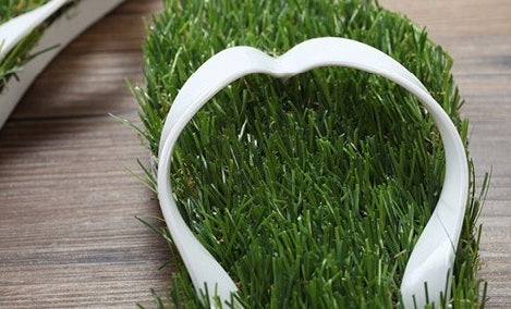 Grass-Style Summer Flip Flops – Unisex Beach Sandals with Realistic Lawn Texture for Outdoor Casual and Poolside Wear