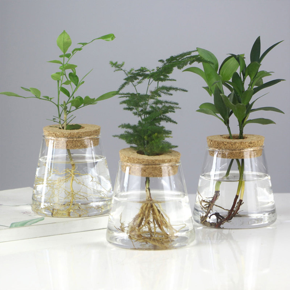 Glass Vase Propagation Station – Tabletop Hydroponic Plant Rack for Cuttings, Indoor Greenery and Stylish Home or Office Decor