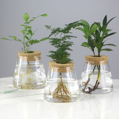 Glass Vase Propagation Station – Tabletop Hydroponic Plant Rack for Cuttings, Indoor Greenery and Stylish Home or Office Decor
