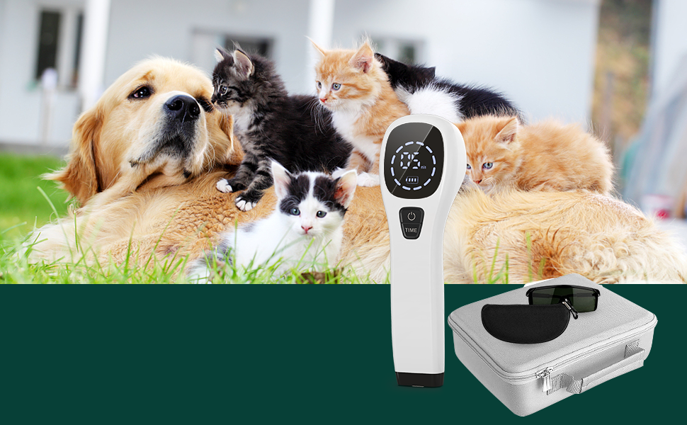 Handheld Red Light Laser Device – 808nm Cold Laser Physiotherapy Instrument for Pain Relief and Recovery