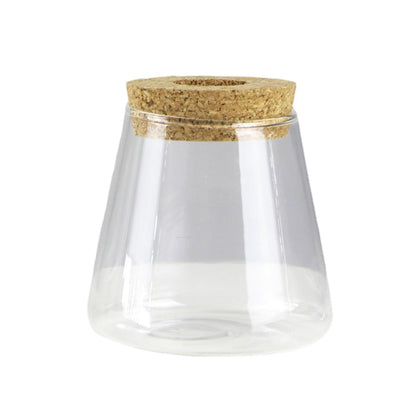 Glass Vase Propagation Station – Tabletop Hydroponic Plant Rack for Cuttings, Indoor Greenery and Stylish Home or Office Decor