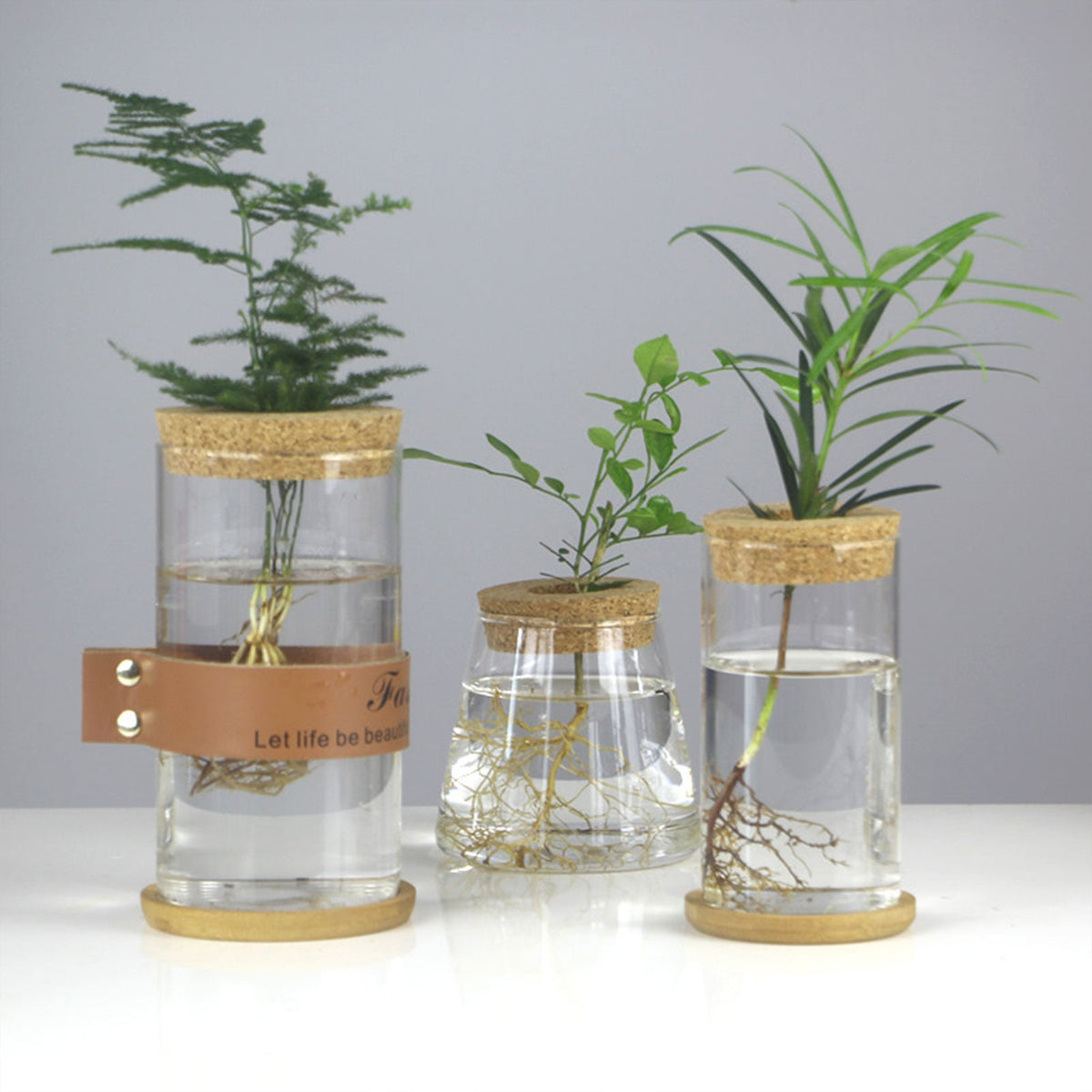 Glass Vase Propagation Station – Tabletop Hydroponic Plant Rack for Cuttings, Indoor Greenery and Stylish Home or Office Decor