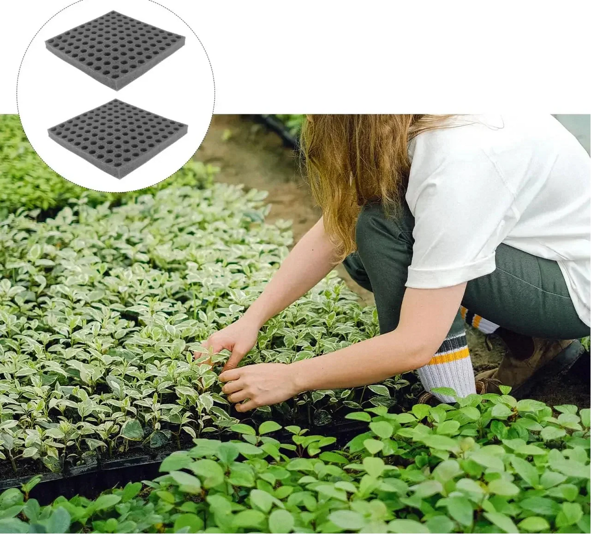 Hydroponic Grow Sponge Set – Soilless Seedling Plugs for Nursery Trays, Vegetable Propagation, Indoor Gardens and Seed Starting
