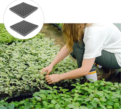Hydroponic Grow Sponge Set – Soilless Seedling Plugs for Nursery Trays, Vegetable Propagation, Indoor Gardens and Seed Starting