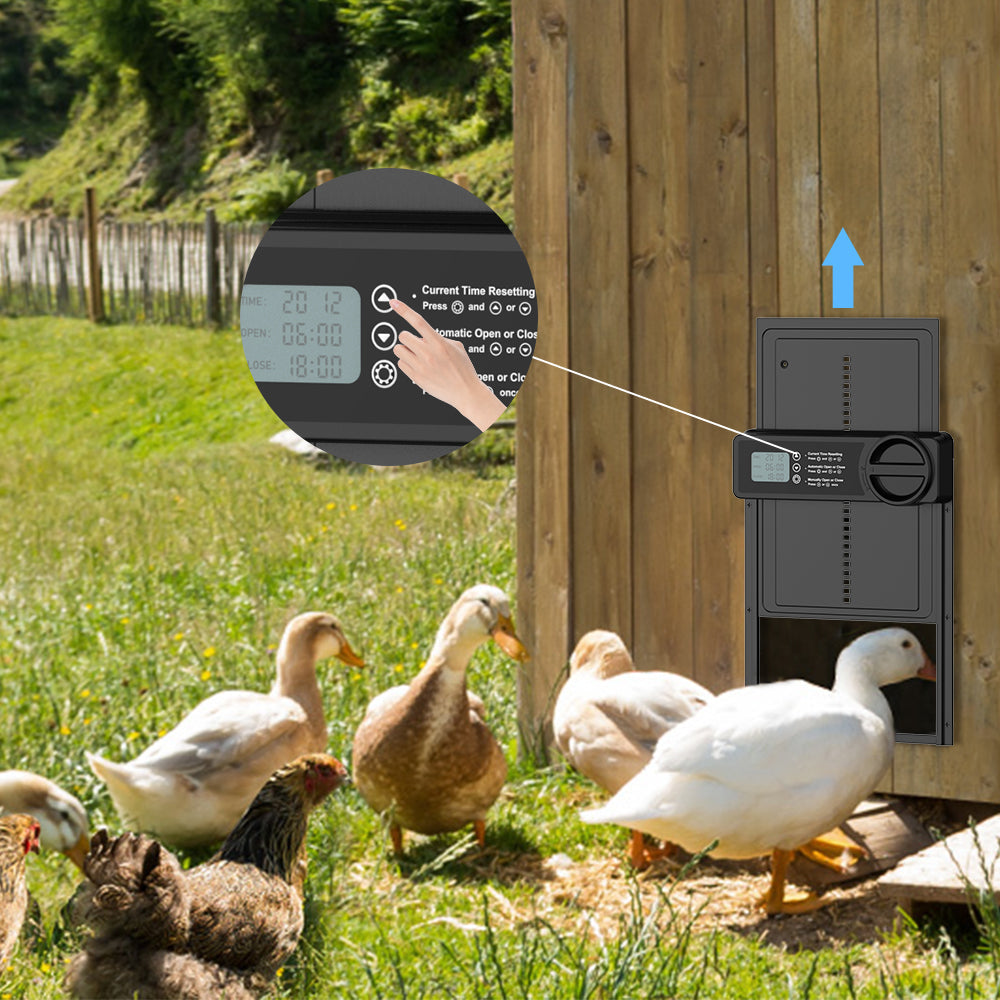Smart Aluminum Alloy Automatic Chicken Coop Door – Hen Flap with Timer & Manual Mode, Anti-Clamp Design for Poultry Safety