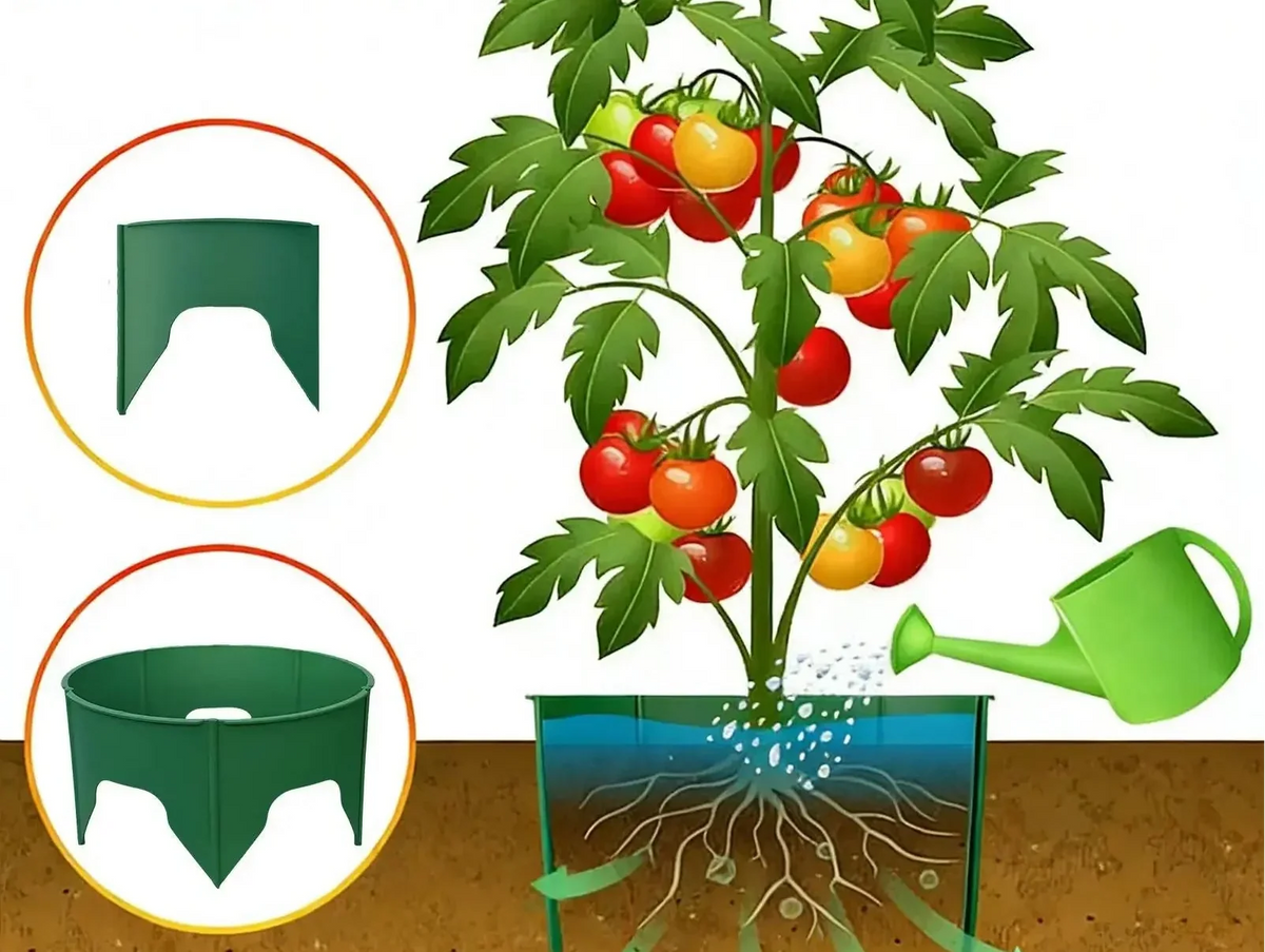 Round Deep-Watering Plant Rings – Plastic Garden Edging for Root Support, Pest Barrier Protection, Focused Irrigation and Cleaner Landscape Planting