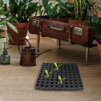 Hydroponic Grow Sponge Set – Soilless Seedling Plugs for Nursery Trays, Vegetable Propagation, Indoor Gardens and Seed Starting